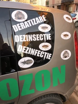 DDD Deratizare,dezinfectie,dezinsectie